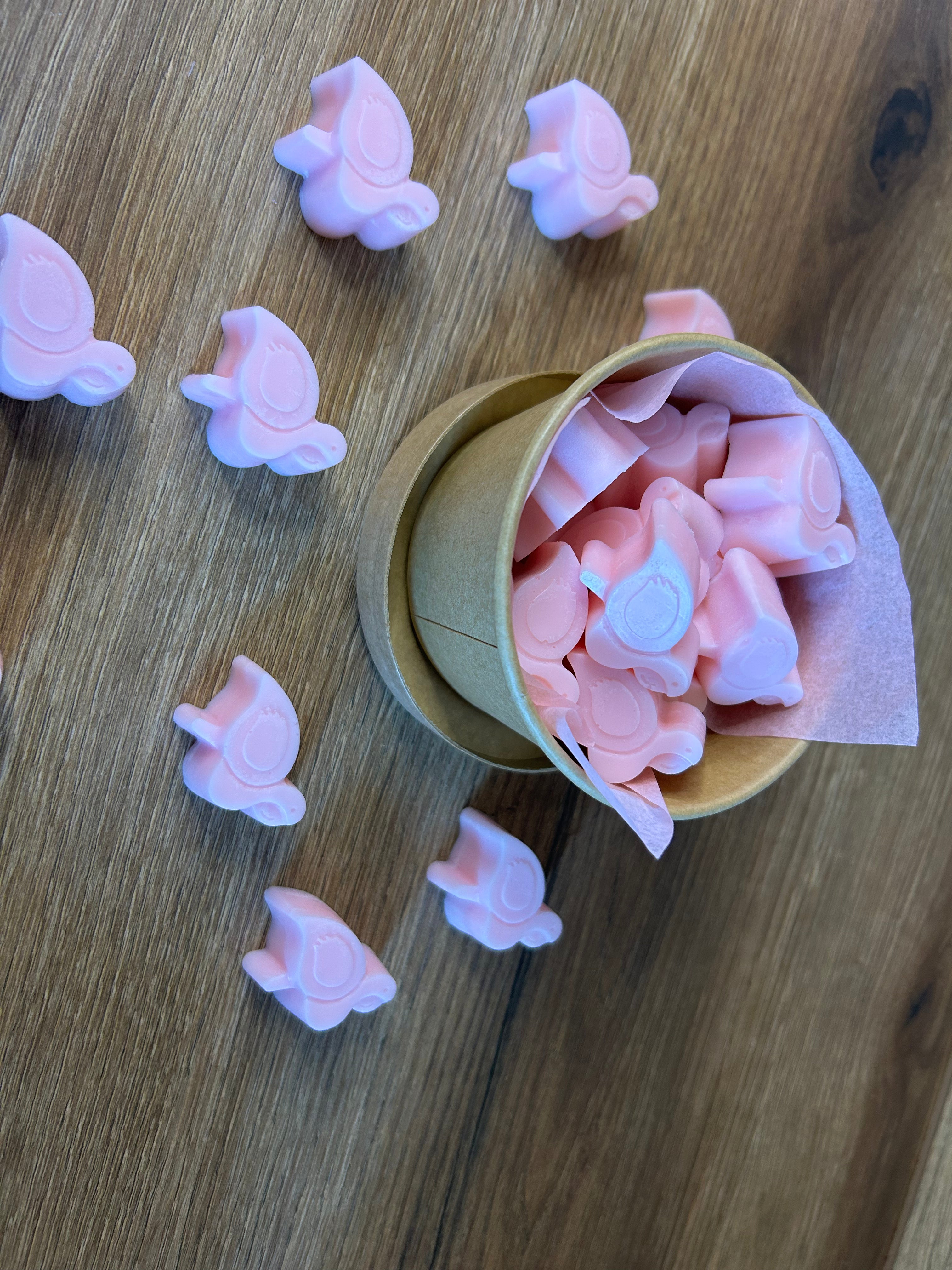 Süße Magnolie